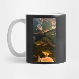 Gold fish in the water Mug